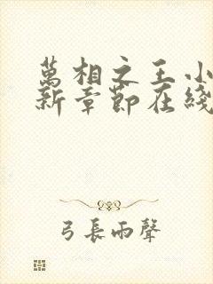 万相之王小说最新章节在线