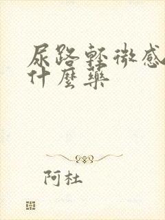 尿路轻微感染吃什么药