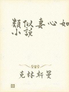 类似妻心如针的小说