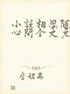 小说相思随你入心间全文免费阅读