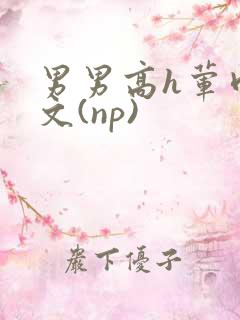 男男高h荤肉欲文(np)