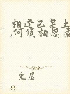 相逢已是上上签,何须相思煮余年.什么意思