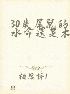 30岁属鼠的是水命还是木命