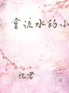 会流水的小说