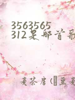 3563565312是哪首歌的歌词