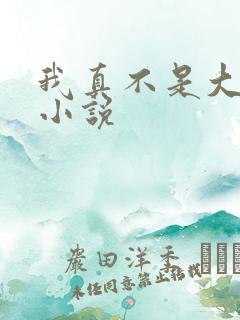我真不是大佬 小说