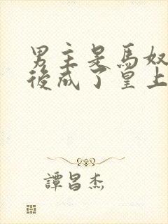 男主是马奴,最后成了皇上