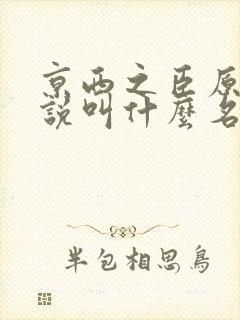 京西之臣原著小说叫什么名字