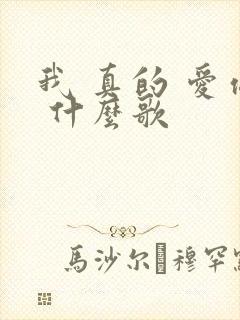 我 真的 爱你 什么歌