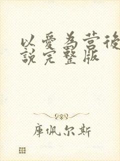 以爱为营后续小说完整版