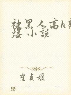 被黑人高h辣文爆 小说