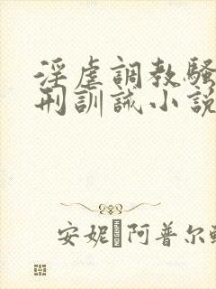 淫虐调教骚奴淫刑训诫小说