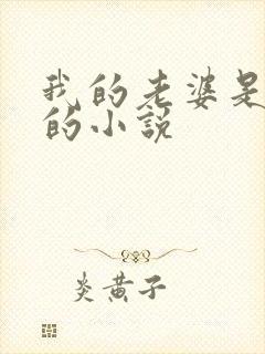 我的老婆是总裁的小说