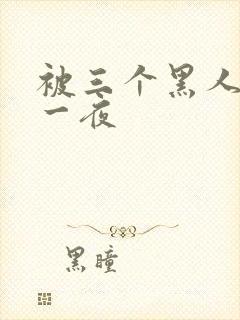 被三个黑人操了一夜