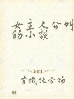 女主人公叫苏念的小说