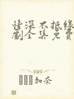 情深不抵缘错短剧全集免费观看