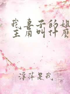 我妻子的姐姐女主角叫什么