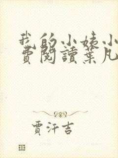 我的小姨小说免费阅读叶凡