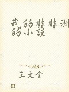 我的非非洲男友的小说