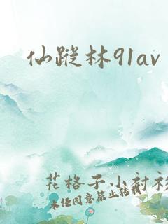 仙踪林91av