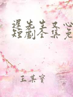 迟先生又心动了短剧全集免费观看下集