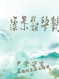 你是我的难得情深小说下载