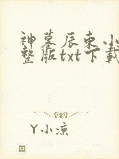 神墓辰东小说完整版txt下载