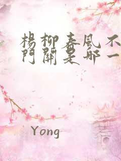 杨柳春风不度玉门关是哪一首诗