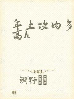 年上攻肉多荤文高h