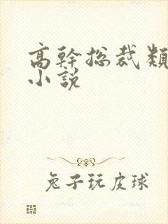 高干总裁类甜宠小说