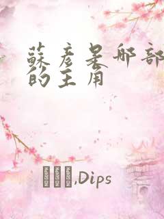 苏彦是哪部小说的主角