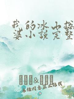 我的冰山总裁老婆小说完整版