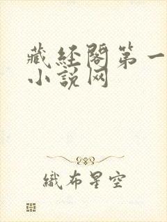 藏经阁第一版主小说网