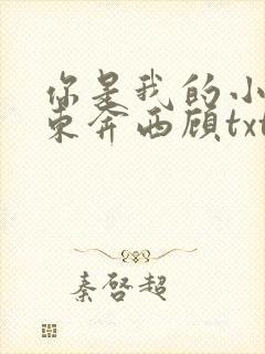 你是我的小确幸东奔西顾txt