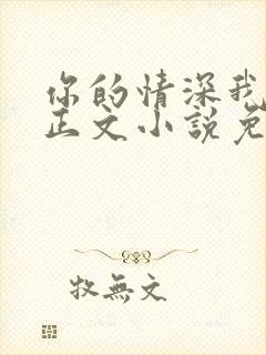 你的情深我不配正文小说免费阅读