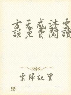 方天成沐云初小说免费阅读