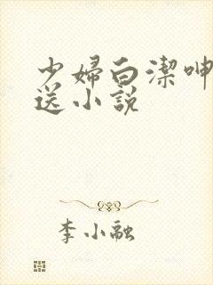 少妇白洁呻吟抽送小说