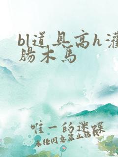 bl道具高h灌肠木马