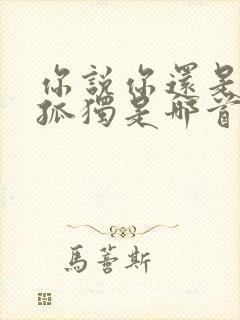 你说你还是喜欢孤独是哪首歌歌词