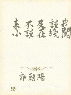 来不及说我爱你小说在线阅读