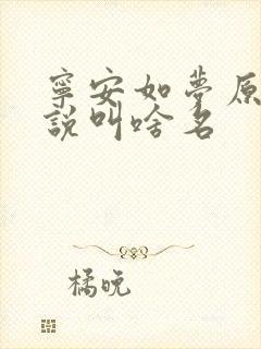 宁安如梦原著小说叫啥名