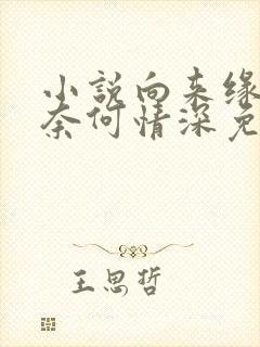 小说向来缘浅,奈何情深免费