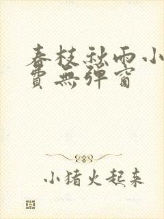 春枝秋雨小说免费无弹窗