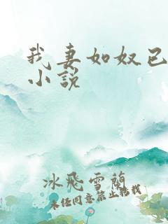 我妻如奴已完结小说