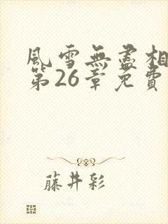 风雪无尽相思情第26章免费阅读
