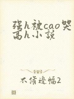 强h被cao哭高h小说