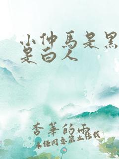 小仲马是黑人还是白人