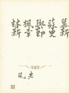 林枫与苏慕白最新章节更新