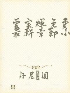 曾家辉免费阅读最新章节小说