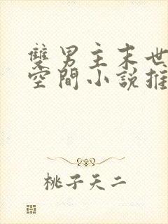 双男主末世灵泉空间小说推荐